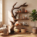 Rustic Tree Bookshelf With Handcrafted Branch Design And Open Display Shelves For Living Room