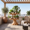 Contemporary Tiered Plant Shelf With Organic Branch Design For Living Room And Entryway SINLSAPT014