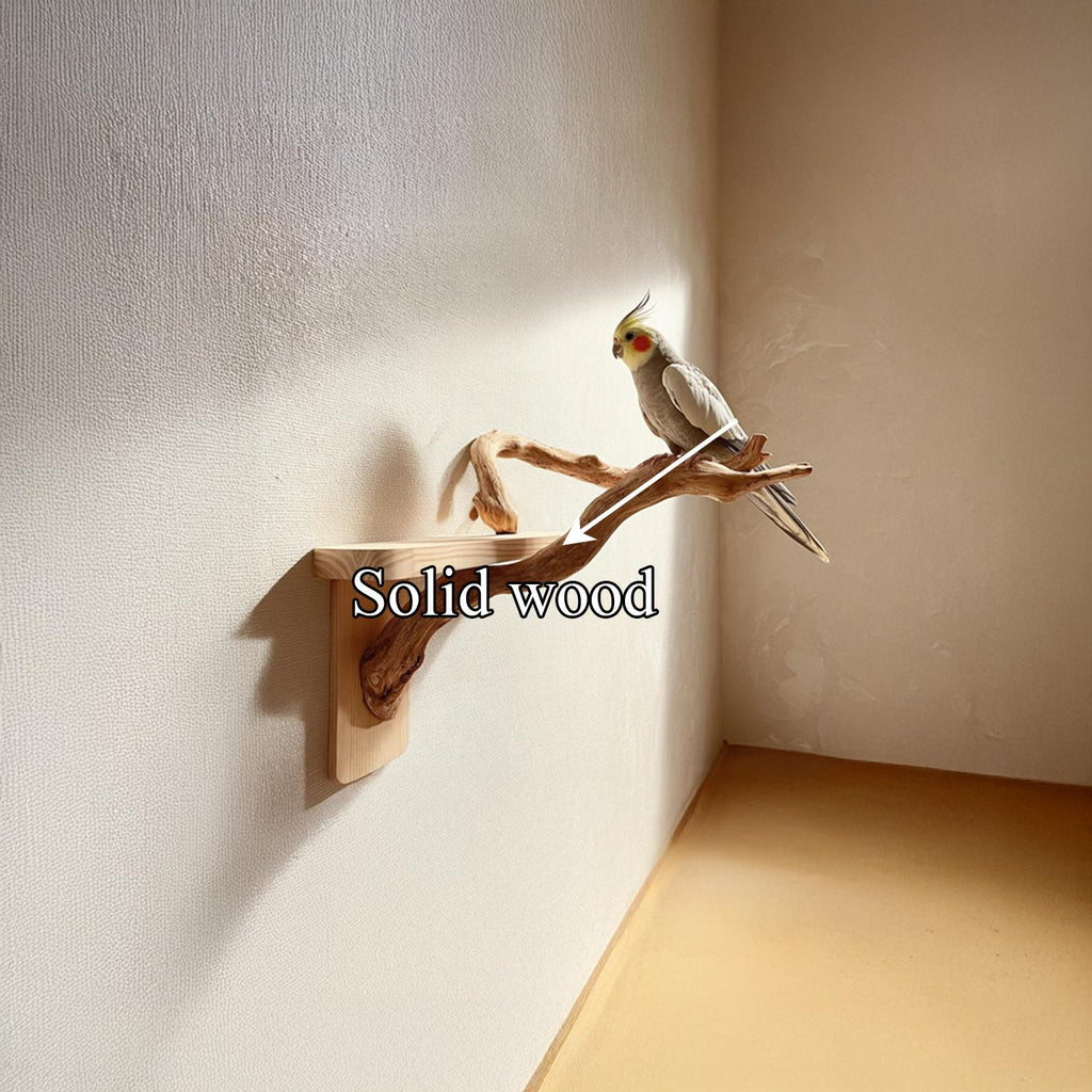 Organic Modern Wall Mounted Bird Perch For Home SINLSAFL093