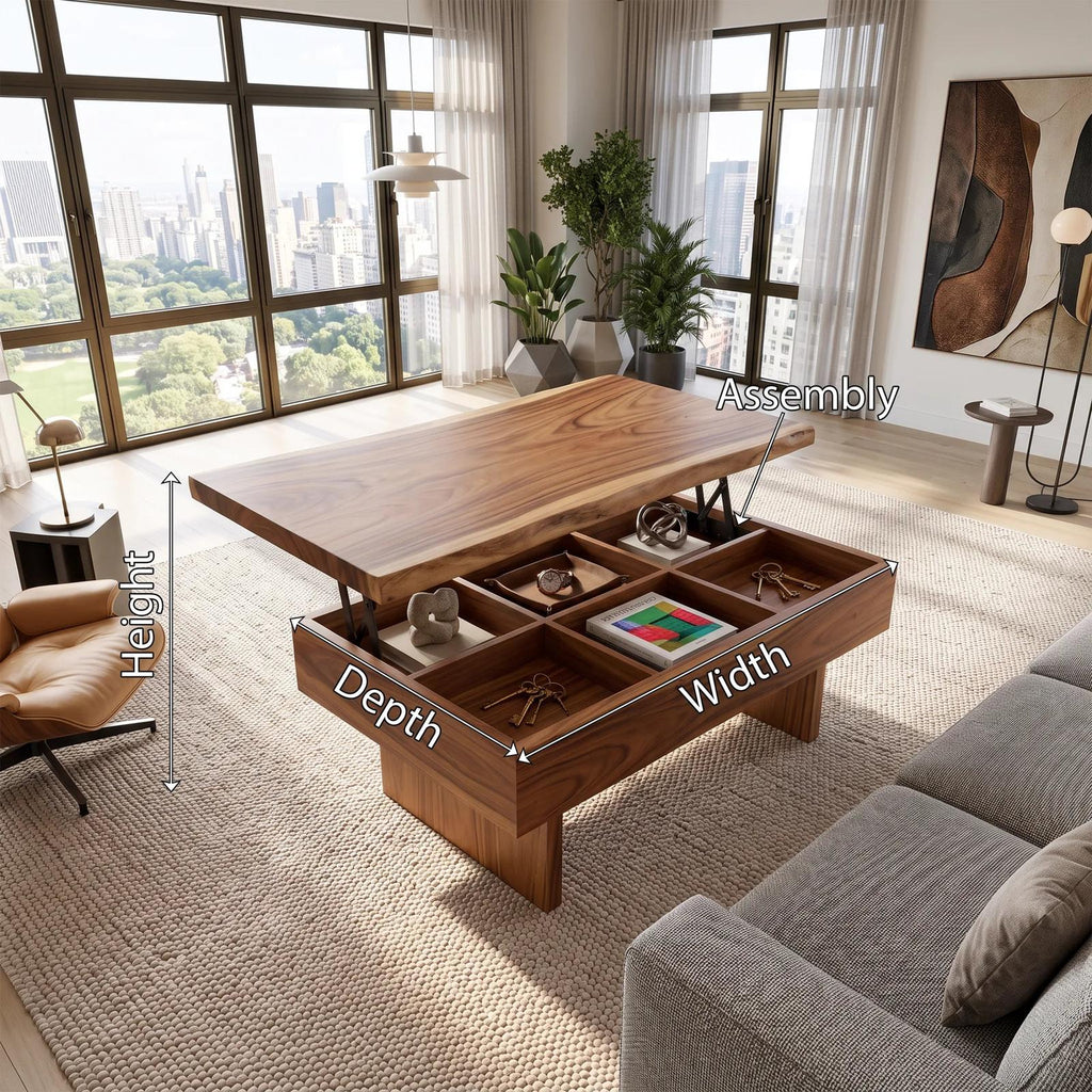 Contemporary Storage Lift Top Coffee Table City Apartment