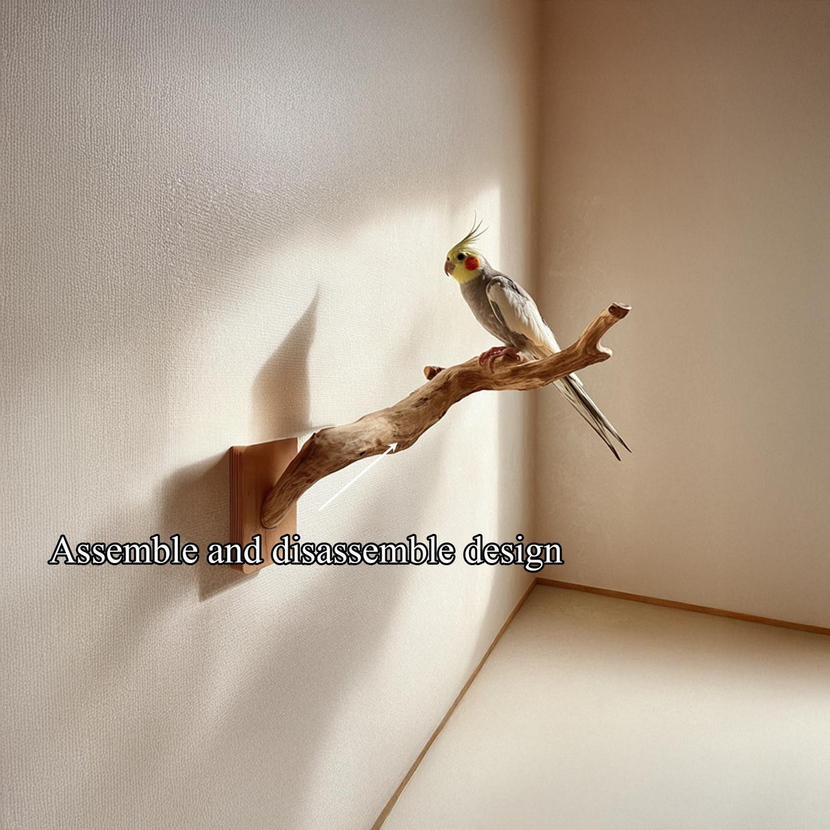 Organic Modern Sculptural Bird Perch For Home SINLSAFL094