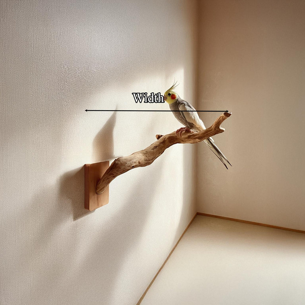 Organic Modern Sculptural Bird Perch For Home SINLSAFL094