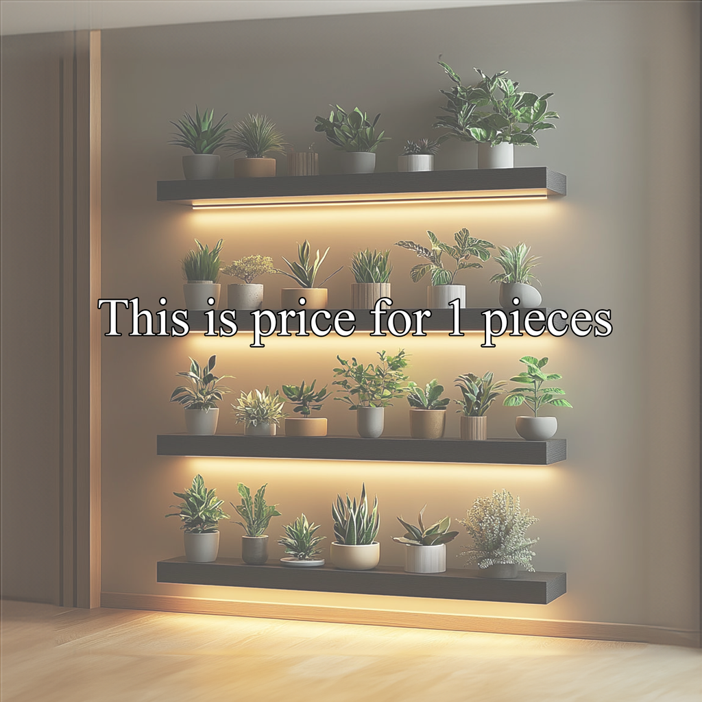 Modern Minimal Floating Shelf Living Room Or Bedroom