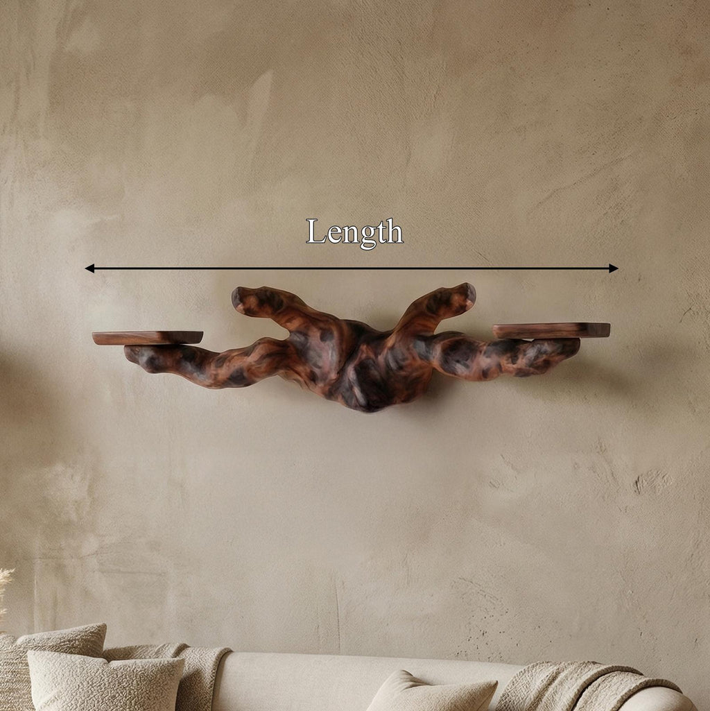 Rustic Floating Shelf, Solid Wood Wall Mounted Display Ledge for Living Room & Bedroom