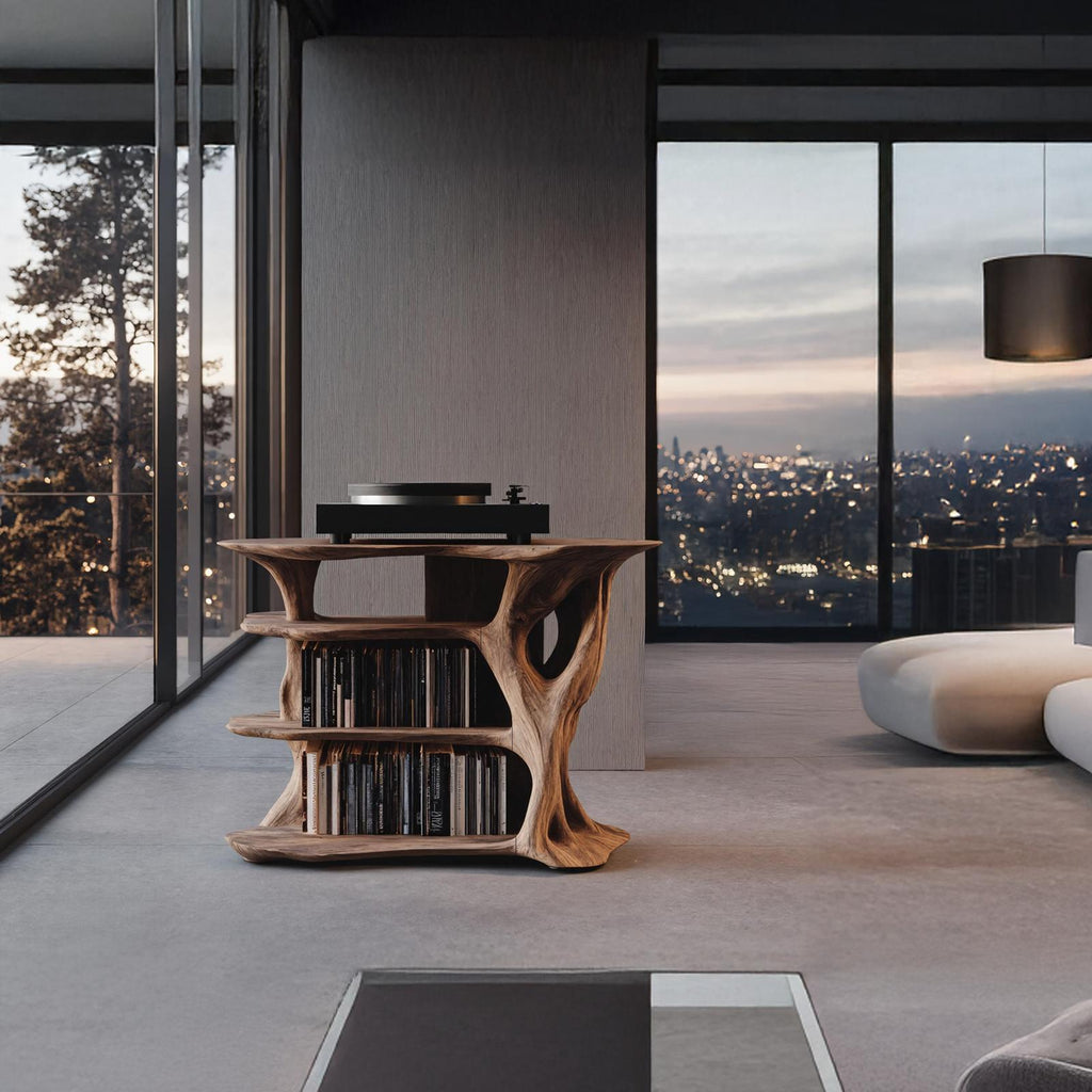 Handcrafted Vinyl Stand With Storage For Bedroom