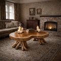 Natural Stump Base Solid Wood Coffee Table, Organic Rustic Tree Trunk Center Table for Cabin Living Room
