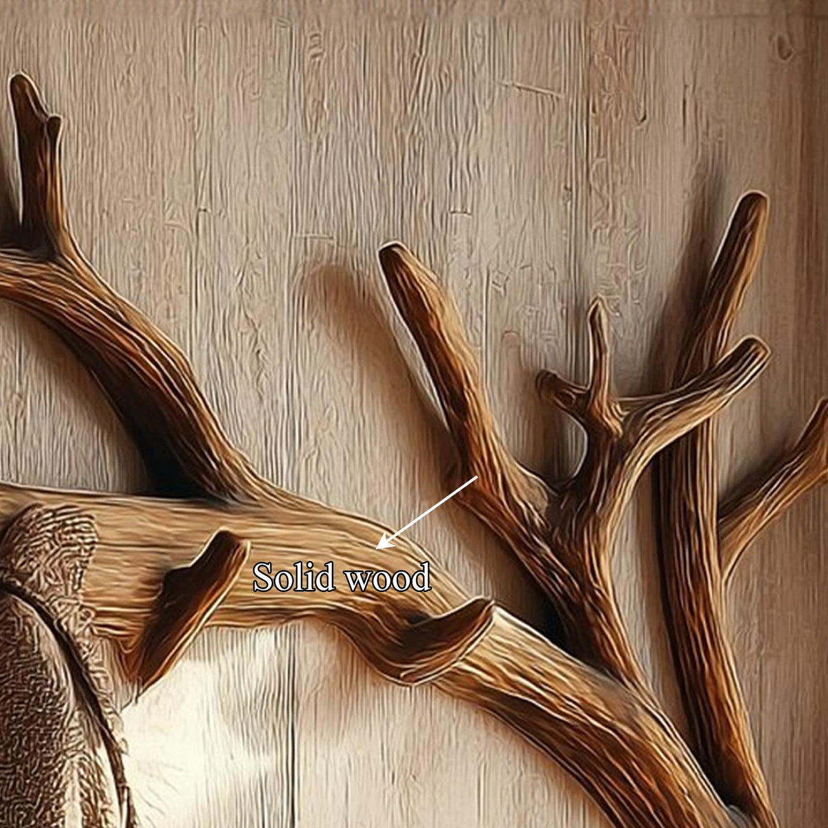 Rustic Tree Branch Wall Hook Living Room