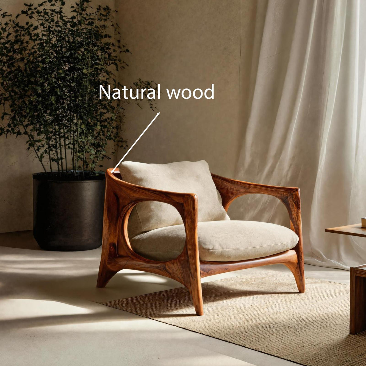 Modern Lounge Chair With Carved Frame For Living Room RTTHTTACC005