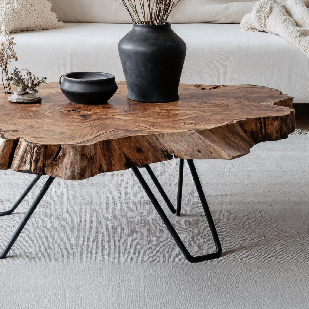 Handcrafted Coffee Table For Unique Living Room