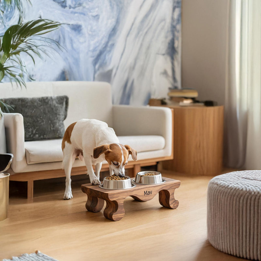 Handcrafted Feeding Stand For Dog Kitchen Corner