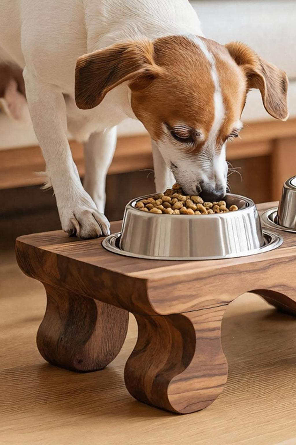 Handcrafted Feeding Stand For Dog Kitchen Corner